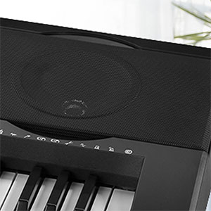 Speaker